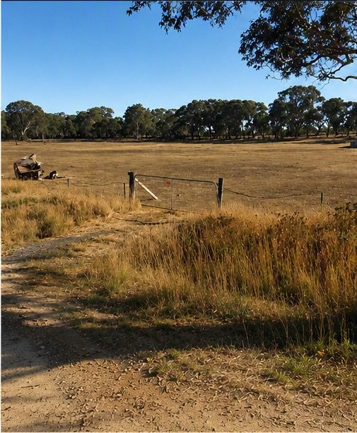 A farm gate and long grass